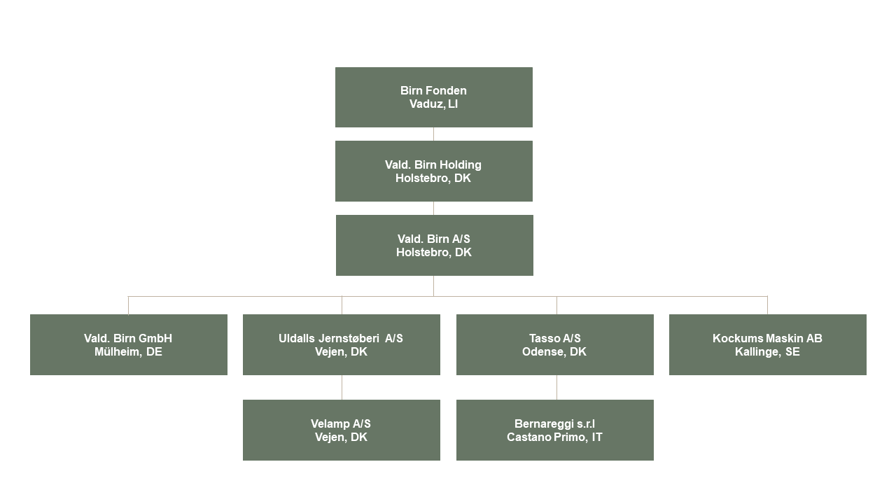 BIRN_Structure med VELAMP