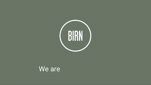 BIRN Group - Logoer UK